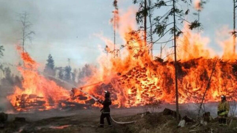 Қостанайдағы өрттен қоршаған ортаға қандай шығын келді?.