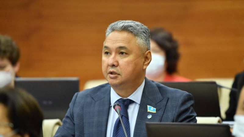 Медведевтің жазбасына РФ уәкілетті органдары түсіндірме беру керек — депутат.