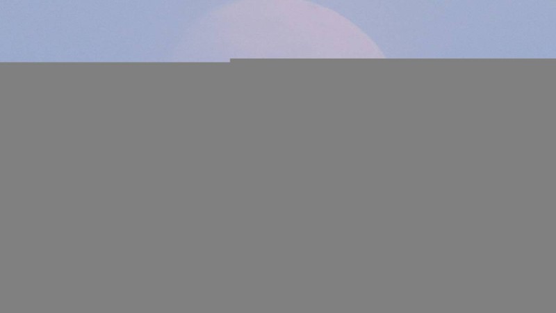Назарбаев тағы да Түркияға барып келді.