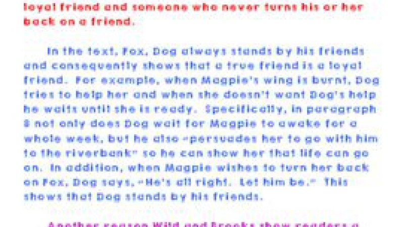 Introducing Essential Criteria In Literary Analysis Essay.