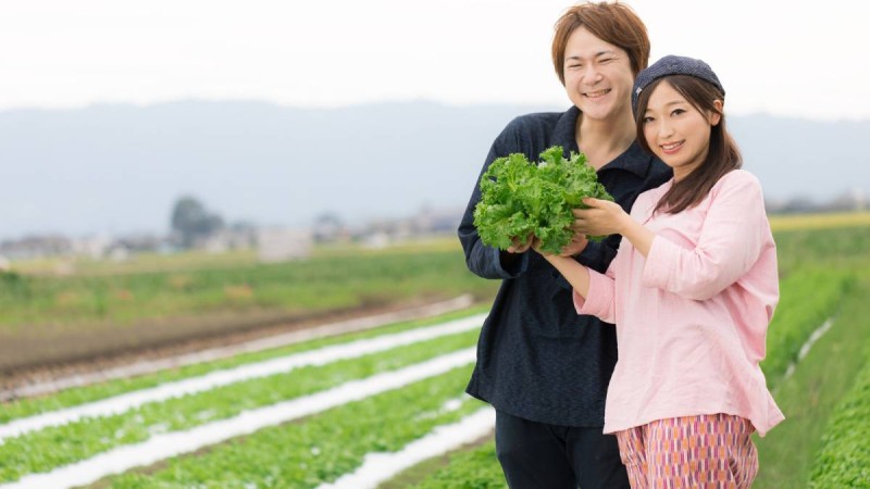 Craving Freedom, Japan’s Women Opt Out of Marriage.