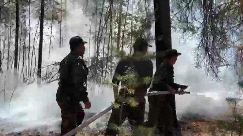 Абай облысындағы өртті сөндіру бойынша ақпарат.