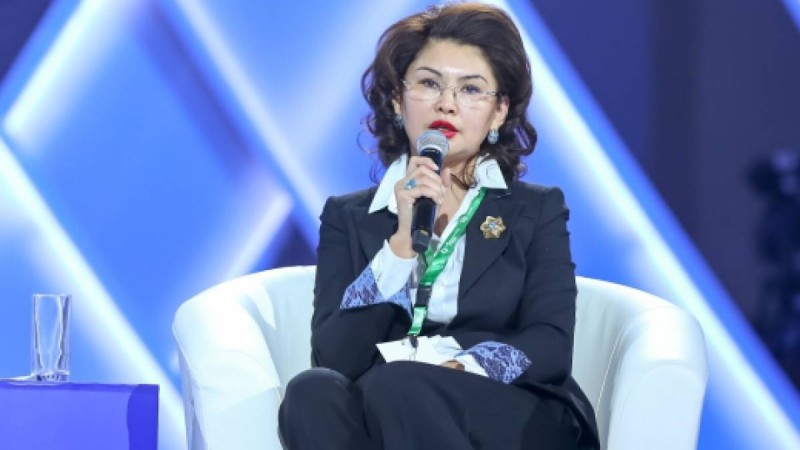 Аида Балаева: Көкжайлау жобасы іске аса ма, жоқ па – нақты шешім жоқ.