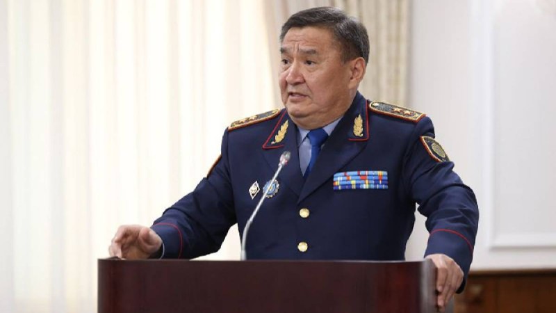 Елімізде адам саудасы мәселесімен ешкім айналыспаған – ІІМ.