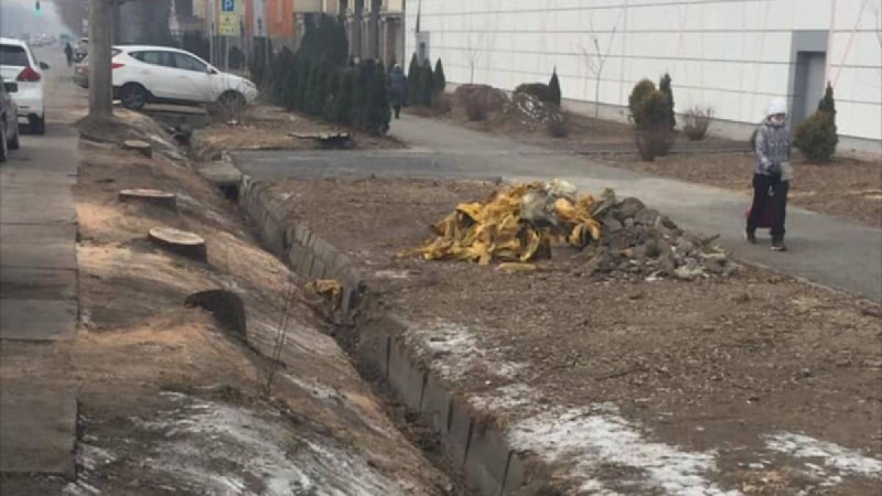 Sulpak кесілген ағаштар үшін қала тұрғындарынан кешірім сұраудан бас тартқан.