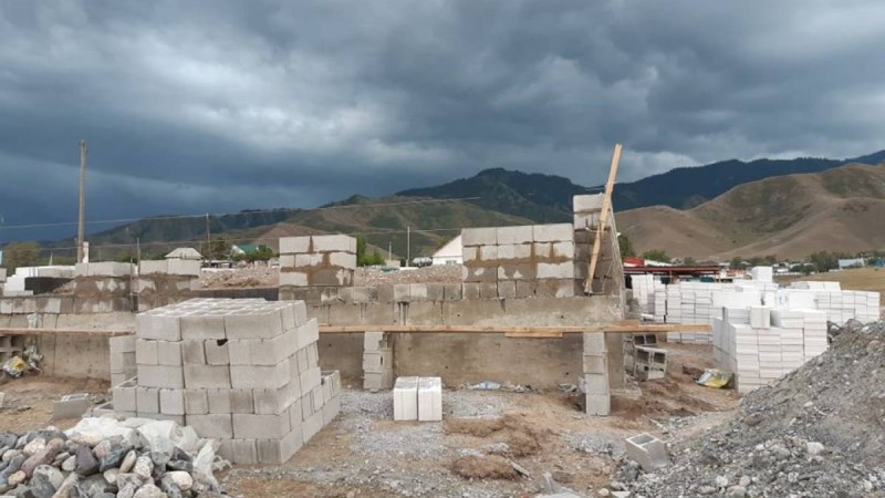 Туған жерге туыңды тік!.