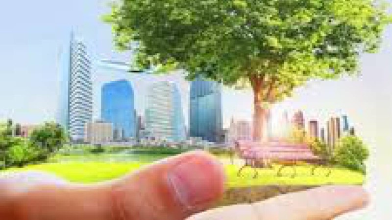 Ұлттық парктердің жұмысына шенеуніктердің араласуы табиғат өліміне алып келеді-Мәжіліс депутаты.