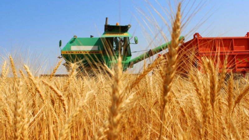 Банктер ауылшаруашылығы саласын несиелендіруді 48,3% — ға қысқартты.