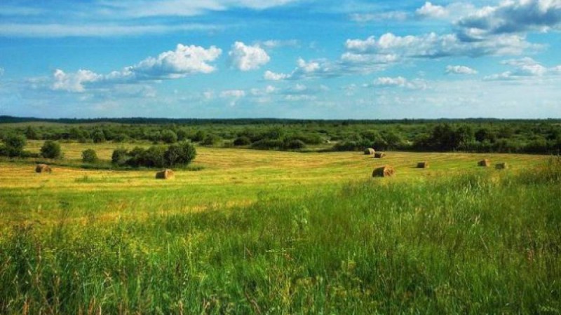 Енді елдегі пайдаланылмай бос тұрған жерлерді онлайн тексеруге болады.