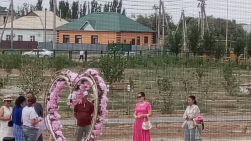 Нәрестені  перзентханадан шығарарда шоу ұйымдастырған дұрыс емес. Шиелі аудандық ауруханасы мәлімдеме жасады