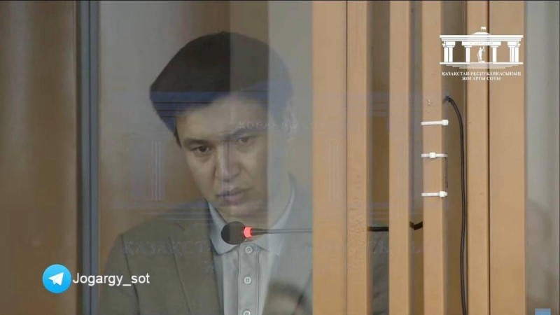 Салтанат Нүкенованың өлімі: Бишімбаевтың інісі амнистия сұрап өтініш берді