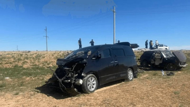 Қараусыз малдан жол-көлік оқиғалары артуда