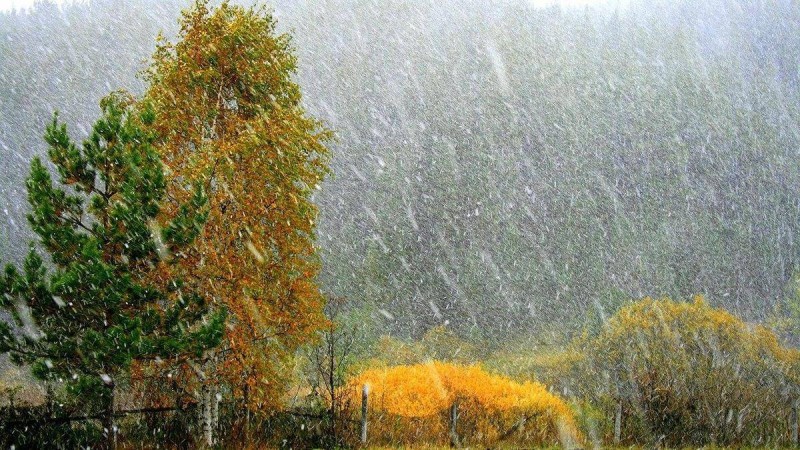Қар жауып, үсік жүреді: 1 қыркүйекке арналған ауа райы болжамы