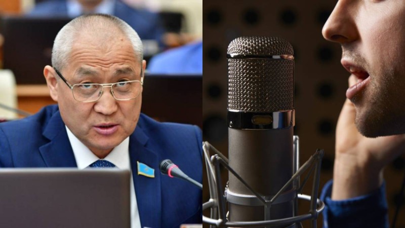 "Фонограммамен ән айтуға тыйым салынады": Мәжілісте ел асыға күткен заң қабылданды
