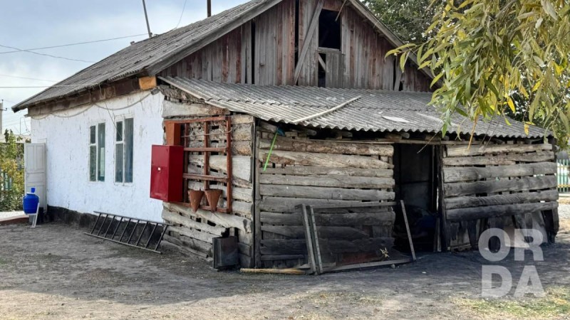 Мектеп емес, қора: Түркістан облысында ауыл балалары қирандылар арасында оқып жүр