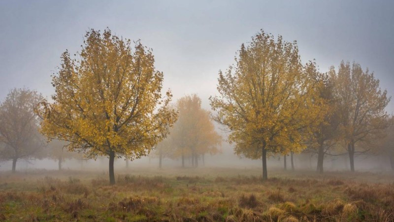 Тұман,  жел — 17 қазанға арналған ауа райы болжамы