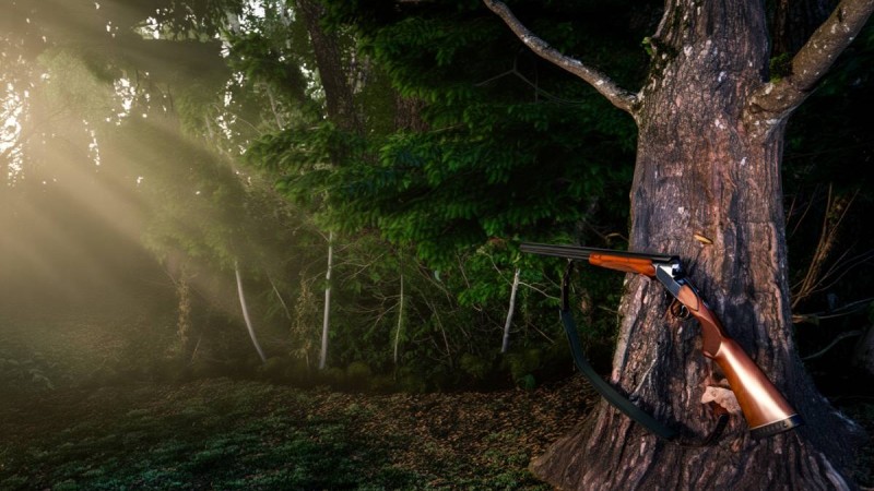 Жамбыл облысында түнгі аң аулау кезінде жасөспірім оқтан қаза тапты