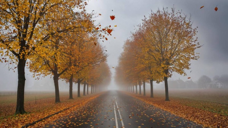 24 қазанға арналған ауа райы болжамы