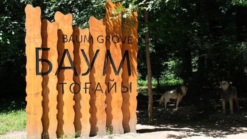 «BAZIS-A» корпорациясы Баума тоғайына қатысты маңызды мәлімдеме жасады