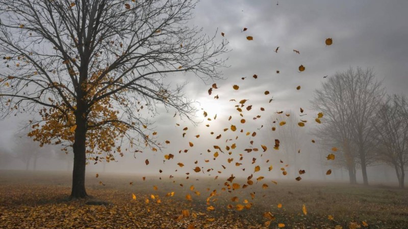 Жаңбыр мен жел: 28 қазан күнгі ауа райы болжамы