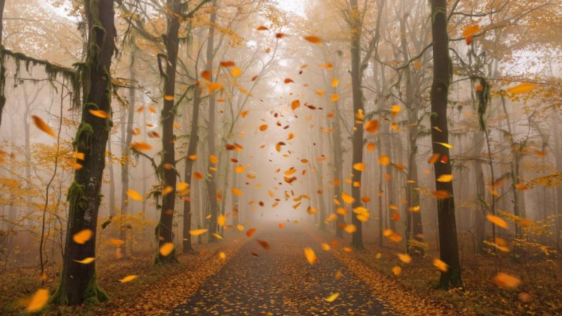 29 қазанға арналған ауа райы болжамы