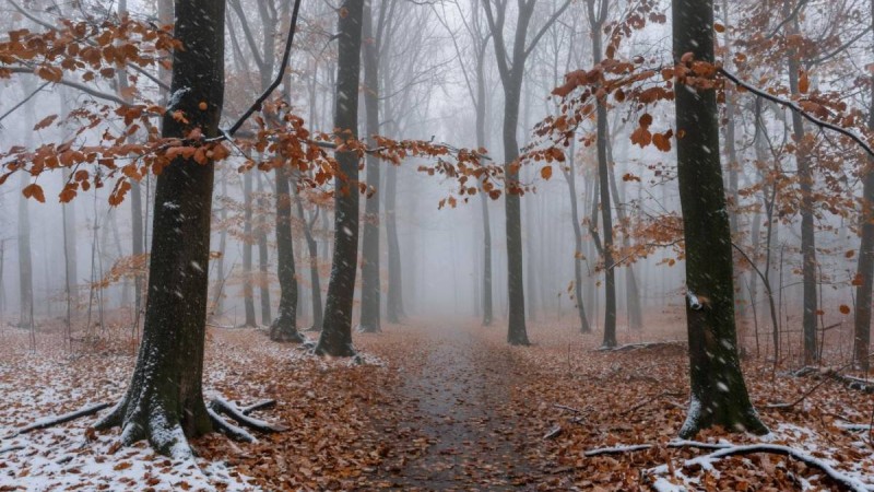 3 қарашаға арналған ауа райы болжамы