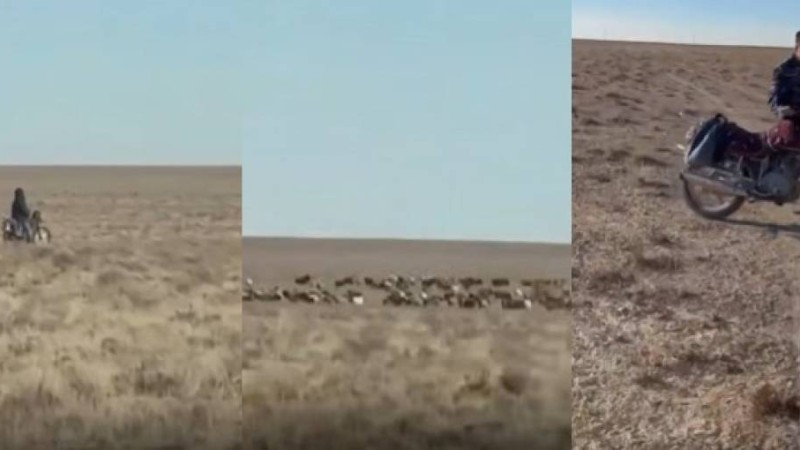 Полицейлер далада малшының мотоциклін алып кетті