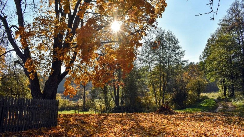+14 градусқа дейін жылы болады: 19 қарашаға арналған ауа райы болжамы