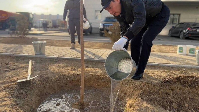 "Таза Қазақстан": Ақтауда 7 мыңнан астам ағаш отырғызылды