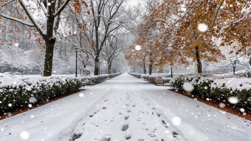 8 желтоқсанға арналған ауа райы болжамы