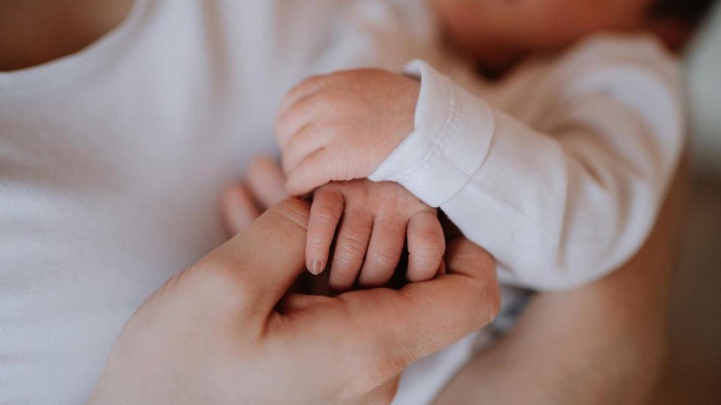 Рекордтық көрсеткіш! Сүйінші! Эко ұрықтандыру арқылы бір қаланың өзінде 26 егіз дүниеге келді