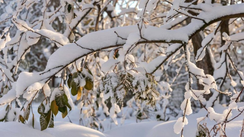 9 желтоқсанға арналған ауа райы болжамы