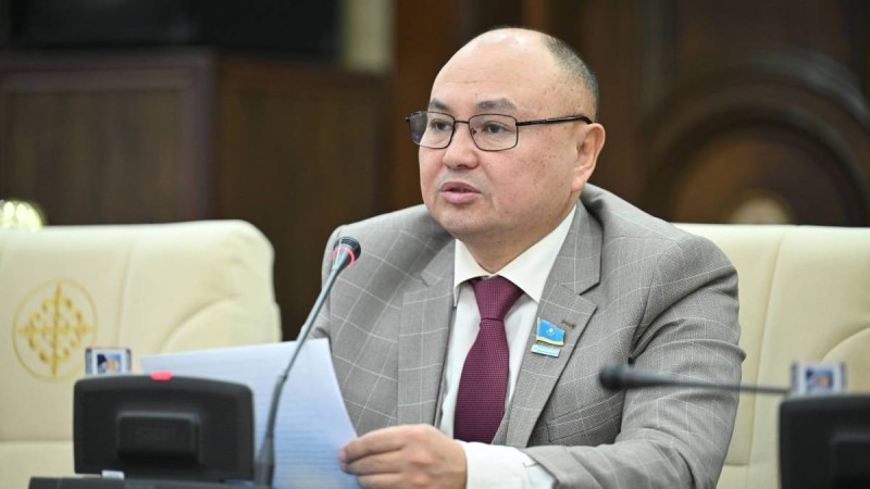 Рушылдық – бренд емес, ұлттық бірлікке төнген қауіп – депутат