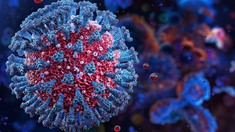 COVID-19-дан сауығып шыққан соң да адам миының микроқұрылымы өзгереді – ғалымдар