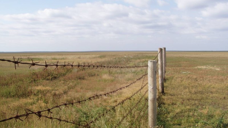 «Аумақты контрабанда үшін пайдаланылуда»: депутат Қазақстан шекарасының осал тұстарын айтты