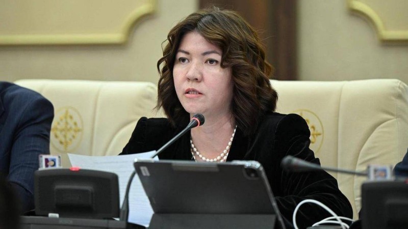 Заң талабына сай келмейтін жекеменшік мектептер жабылады – Жұлдыз Сүлейменова