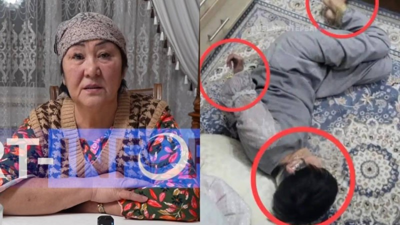 "Аяқтан шалу": Құндыздың қамқоршысы тараған видеоға қатысты өз шындығын айтты