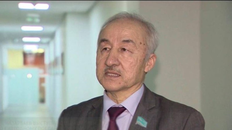 Инвестиция конституциямен емес, салалық заңдармен реттелуі тиіс – экономист