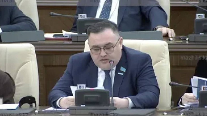 "Аузыңа ие бол": Депутат өзін сынаған оқырманға дөрекі жауап беремін деп басы дауға қалды (ФОТО)