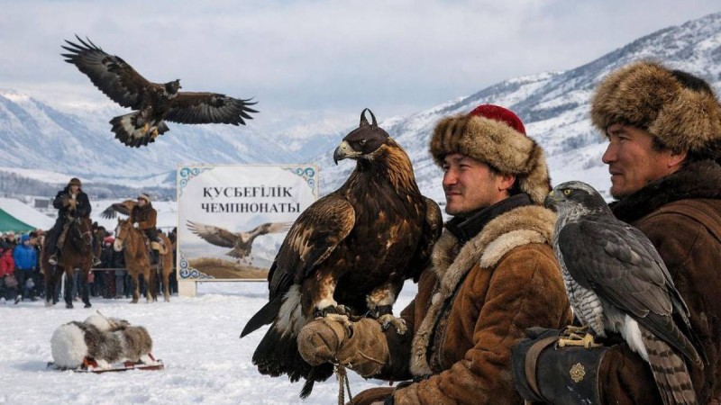 ШҚО-да құсбегіліктен чемпионат өтіп жатыр