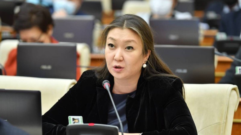 Қазақстанда күн сайын балаларға қарсы 5 қылмыс тіркеледі - Закиева