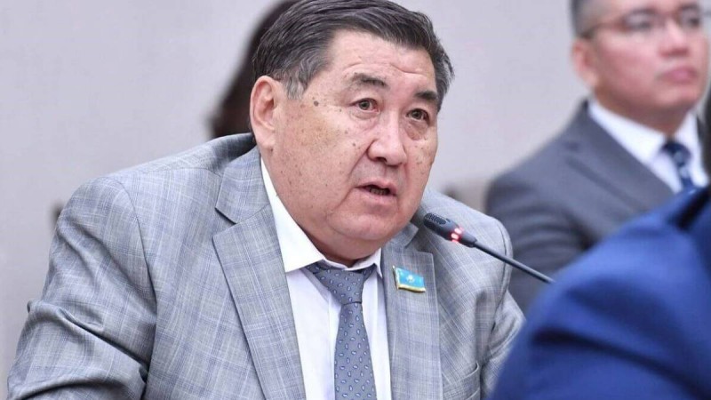 Назарбаев дәуірінде Конституция “черновикке” айналып кеткен еді – депутат