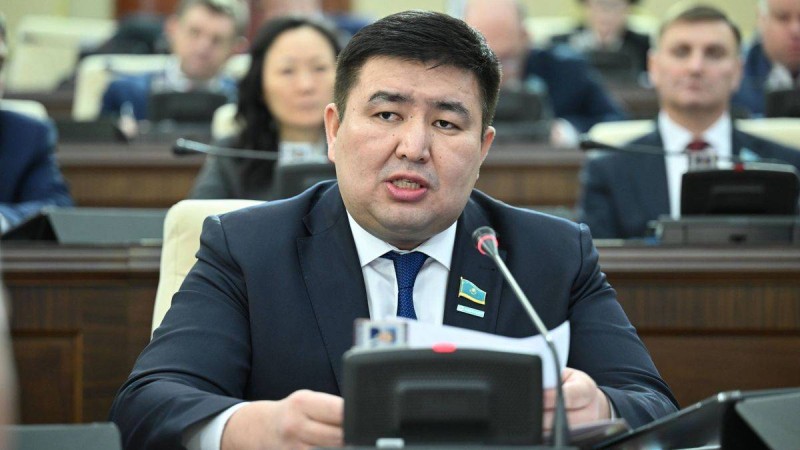 Депутаттар Елнұр Бейсенбаевтың Мәжілістегі өкілеттігін мерзімінен бұрын тоқтатуға шешім қабылдады