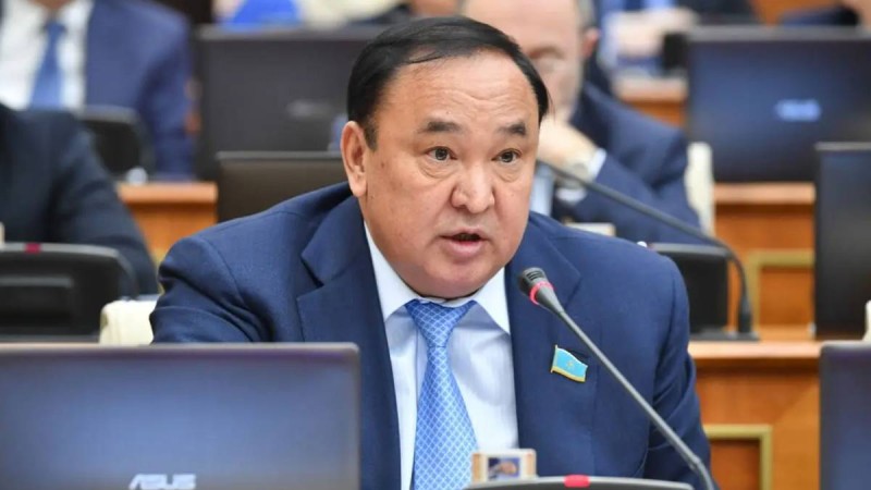 Экономиканы ырықтандыру туралы жарлық қағаз жүзінде ғана орындалды – депутат