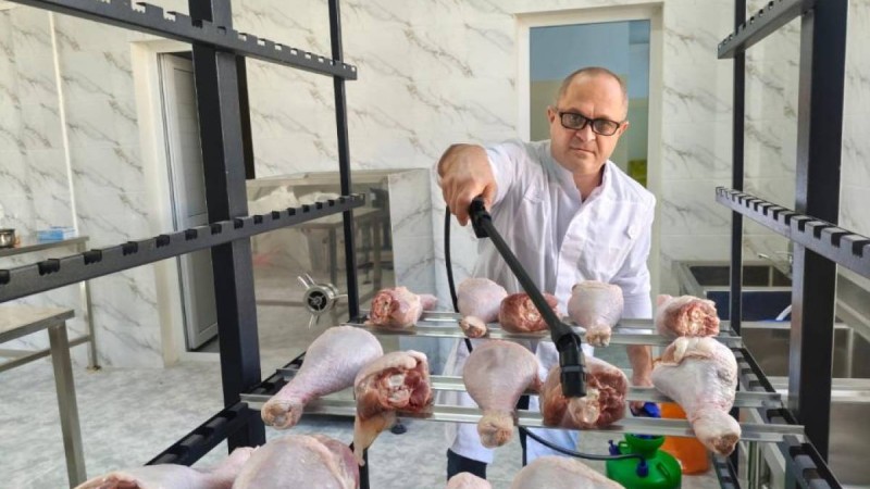 Ғалымдар салқындатылған құс етінің сақтау мерзімін 3 есеге дейін ұзартатын технология әзірледі