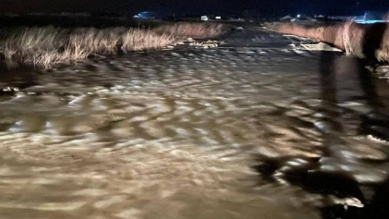 Шекара маңындағы Желқуар өзенінде қар суы еріп, тасқын тіркелді