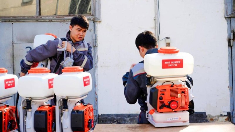 Астанада маса мен шіркейге қарсы күрес жұмысы қалай өтеді?