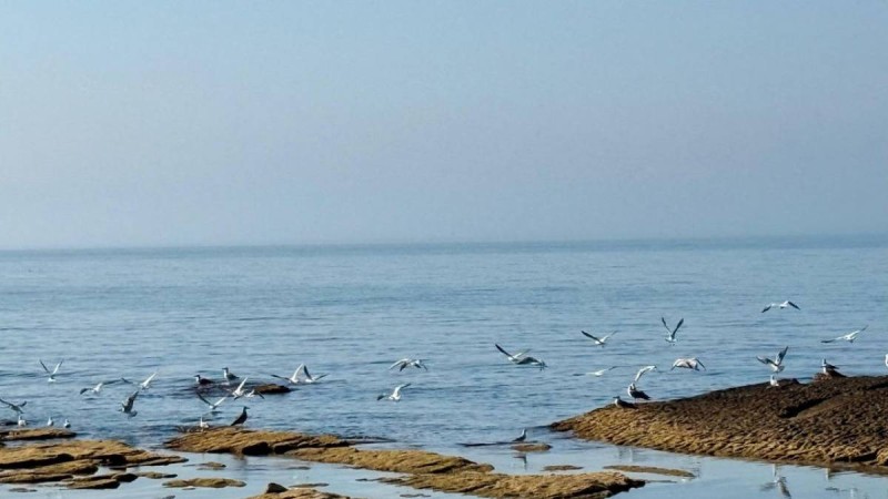 Каспий теңізінің тартылып кету қаупі бар ма: Ғалымдар күтпеген болжам айтты