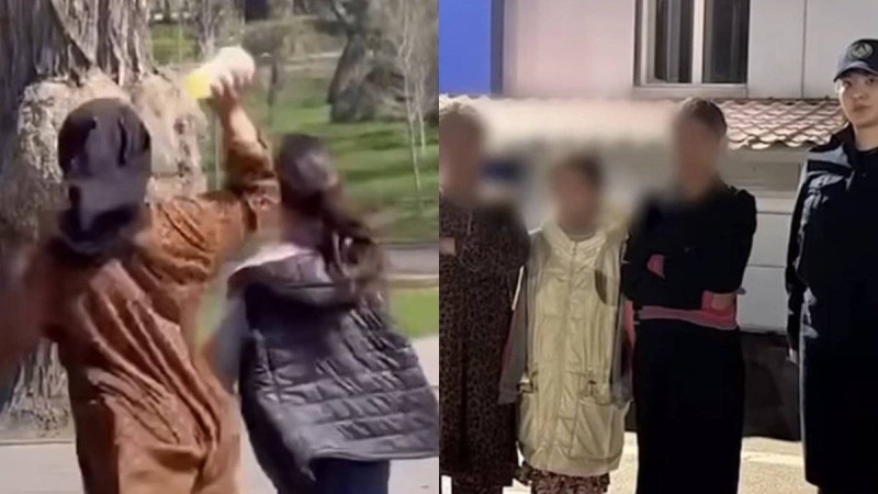 Алматыда тұрғындарға шабуыл жасаған жасөспірімдер елден шығарылды