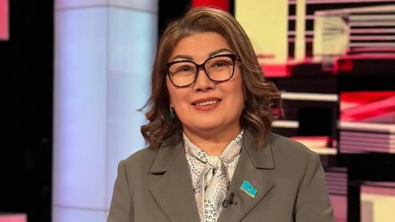 Бір итке жұмсалатын қаржы баланың бір айлық жәрдемақысынан көп – депутат